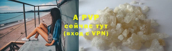 a pvp Белокуриха